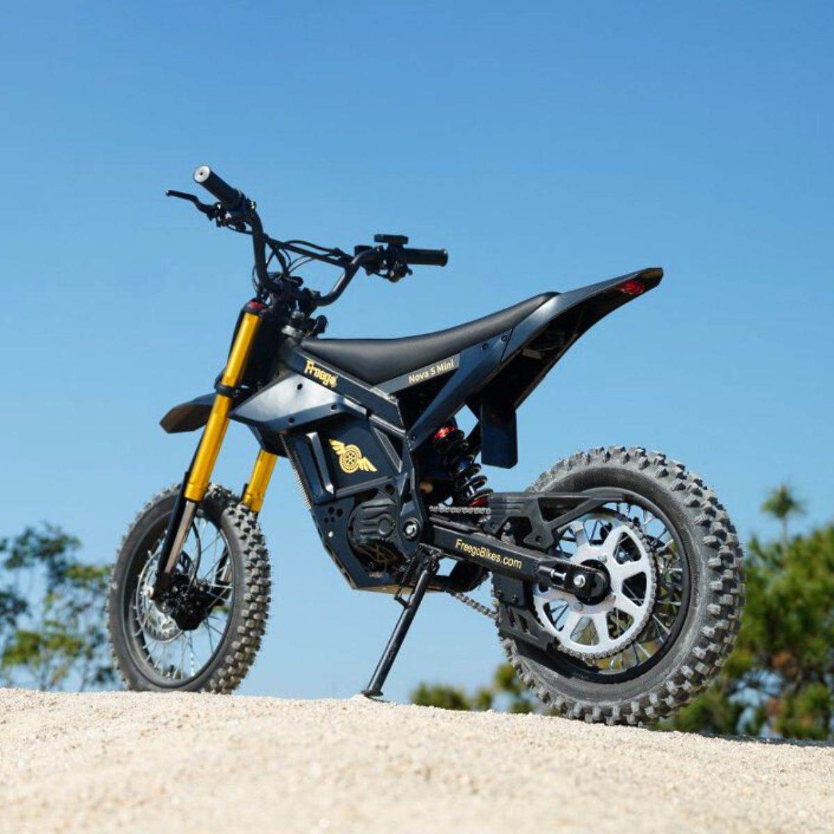 Freego Nova 5 Mini Ebike for Teens and Adults