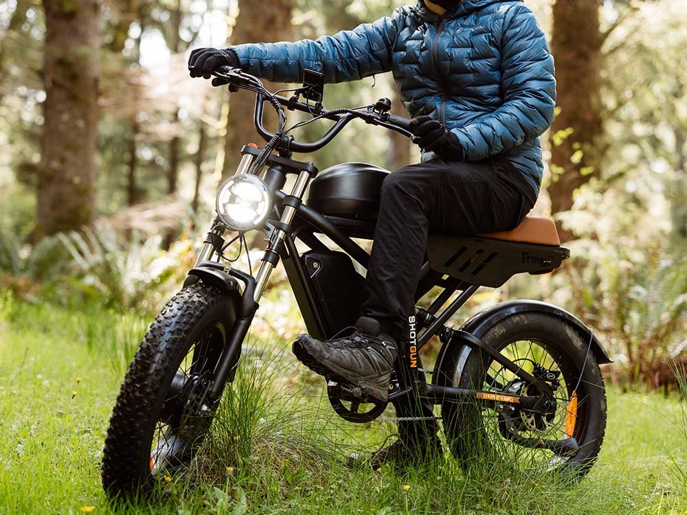 Freego Flash F3 Pro Max Dual Motor & Dual Battery Fat Tire eBike