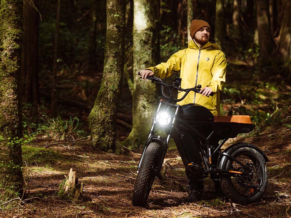 Freego Flash F3 Pro Max Dual Motor & Dual Battery Fat Tire eBike