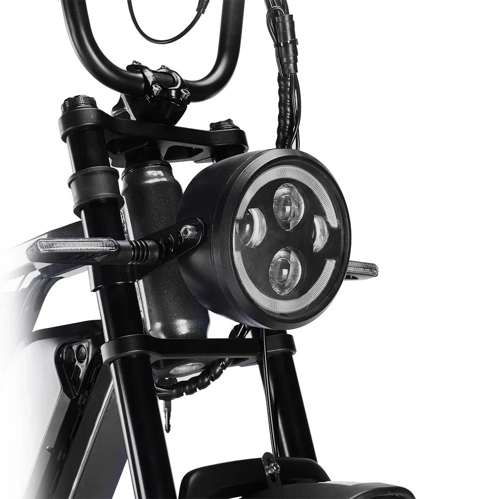 HappyRun G60 Pro 48V/18.2Ah 2000W Fat Tire Electric Bike