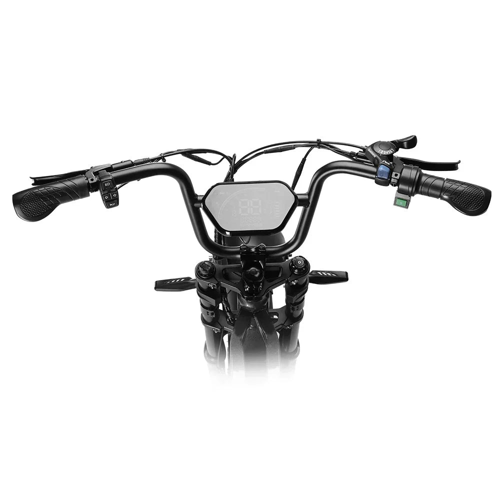 HappyRun G60 Pro 48V/18.2Ah 2000W Fat Tire Electric Bike