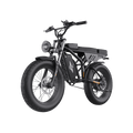 Freego Shotgun Prime F2 Pro Electric Fat Tire Cargo Bike